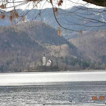 Apartma Pozar Appartement Bled